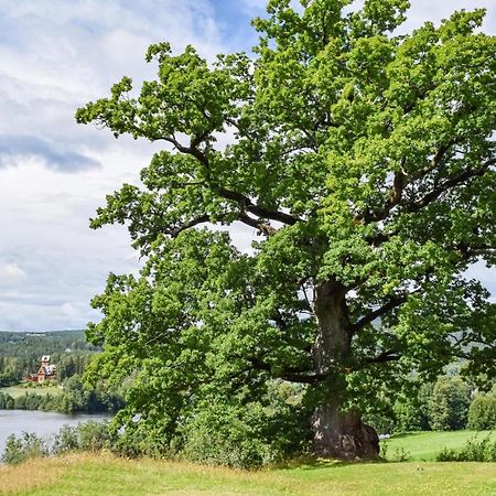 Apartament Bjertnes Turistgard Noresund Zewnętrze zdjęcie